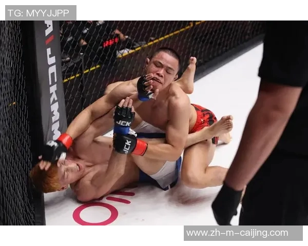 刘易斯与迈考尔的巅峰对决谁将成为拳击界的新王者